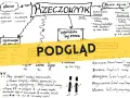 Podgląd rzeczownika: nazwy, odmiana przez przypadki, rodzaje (męski, żeński, nijaki), liczby (pojedyncza, mnoga). Rzeczowniki dzielą się na własne i pospolite.
