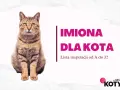 Uroczy kot siedzi obok napisu "Imiona dla kota". Znajdź idealne imię dla swojego pupila!
