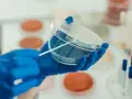 W laboratorium chemicznym probówka służy do przechowywania, mieszania i reakcji substancji. Tutaj badacz pobiera próbkę do analizy.