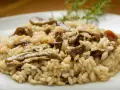 Kremowe risotto z grzybami na białym talerzu, ozdobione gałązką rozmarynu.
