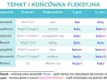 Tabela pokazuje odmianę rzeczownika "kot" przez przypadki, odpowiadając na pytania.