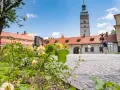 Kwiaty na pierwszym planie, w tle wieża ratuszowa i zabudowania na żywiec rynek.