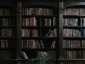 Estanterías repletas de libros antiguos, evocando la espera del **envío de manuscritos a editoriales** para su publicación.