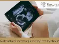 Kobieta trzyma tablet z obrazem USG płodu na tle ciążowego brzucha.