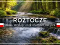 Roztocze: szlaki, atrakcje, najciekawsze miejsca. Malowniczy potok w lesie, idealny na wycieczkę.