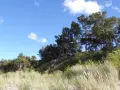 Piękny, zielony krajobraz z piaszczystą plażą i lasem na wzniesieniu. W oddali widać góra libek.