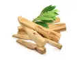 Montón de astillas de palo santo, madera aromática de donde se saca el palo santo, con hojas verdes.
