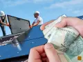 Instalacja paneli fotowoltaicznych w ramach programu "Mój Prąd" to inwestycja, która się opłaca. Zobacz, jak łatwo możesz zacząć oszczędzać.