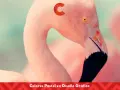 Flamencos rosados con un toque de colores pastel. El diseño gráfico resalta la suavidad de estos tonos.