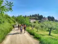 Gruppo di escursionisti su sentiero sterrato, con case coloniche e cipressi sullo sfondo. La Via degli Dei, nonostante la bellezza, presenta una certa difficoltà.