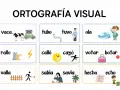 Ortografía visual: vaca, tubo, tuvo, ola, rallo, calló, cayó, votar, botar, valla, sabia, savia, hecho, echo.