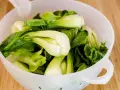 Frischer Pak Choi in einem Sieb, bereit zum rohen Essen. Knackige Blätter und helle Stiele.