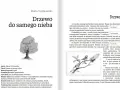 Drzewo do samego nieba, które rośnie na ciasnym podwórku, jest symbolem wyobraźni i piękna.