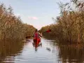 Kajakfahrer gleitet durch Schilf am Neusiedler See.