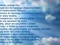 Modlitwa Jana Pawła II do Ducha Świętego o dary: mądrości, rozumu, umiejętności, rady, męstwa, pobożności i bojaźni Bożej.