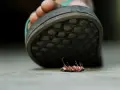 Un pie aplasta una cucaracha.