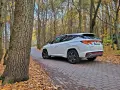 Biały Hyundai Tucson Hybrid na jesiennej drodze wśród drzew.