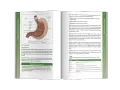 Helicobacter pylori: Złoty standard leczenia w Polsce leki i schematy