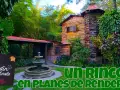 Pizza y jardín: Descubre tu rincón secreto para disfrutar