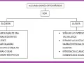 Diagrama sobre el guion y la raya, explicando sus usos: separar sílabas, palabras compuestas, fechas, intervenciones en diálogos y acotaciones.