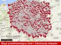 Ile Biedronek w Radomiu? Aktualna liczba i mapa sklepów.