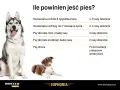 Dawkowanie karmy dla szczeniaka: Ile, jak często i czego unikać?
