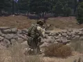 Arma 3 Steam: Czy warto kupić? Poradnik, mody, promocje