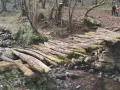 Puente rústico de troncos cubiertos de musgo en la ruta canal de las tejeras. Un arroyo fluye bajo él, rodeado de rocas y vegetación.
