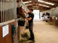 Un palefrenier donne à manger à un cheval dans son box. Le jeune homme, en tenue d'équitation, caresse l'animal tout en remplissant son seau de foin.