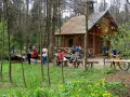 Górecko Kościelne: Przewodnik po Perle Roztocza - Atrakcje i Szlaki