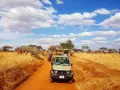 Niesamowite safari w Tanzanii! Słońce, chmury i stado słoni na tle sawanny. W oddali widać samochód terenowy z turystami.