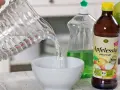 Wasser wird in eine Schüssel gegossen, um eine Fruchtfliegenfalle zu bauen. Apfelessig und Spülmittel sind bereit.