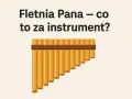 Fletnia Pana – prosty instrument muzyczny z wielu piszczałek.