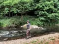 Ein Angler übt die fliegenfischen wurftechnik an einem Fluss. Die Schnur bildet einen eleganten Bogen in der Luft.