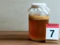 Słoik z kombuchą i kalendarz z cyfrą 7. Poznaj niezwykłe kombucha właściwości i zacznij swoją przygodę z fermentacją.