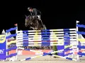 Cavalier et cheval en plein saut lors de l'épreuve des 6 barres. Le cheval est au sommet de son effort, les pattes repliées, franchissant l'obstacle.