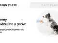 Pies podaje łapę, symbolizując rozwiązanie problemów behawioralnych, w tym czy lęk separacyjny u psa mija.