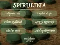 Spirulina: odżywia ciało, łagodzi alergie, podnosi wydolność, sprzyja regeneracji, pobudza detox, działa prebiotycznie. Poznaj jej wszechstronne działanie!