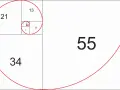 Złoty środek w liczbach: kwadraty z liczbami Fibonacciego (1, 1, 2, 3, 5, 8, 13, 21, 34, 55) tworzą spiralę.
