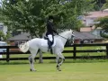 Cavalier en tenue d'équitation sur un cheval blanc, effectuant un mouvement d'épaule en dedans, avec des maisons en arrière-plan.
