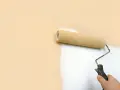 Rodillo pintando una pared de color melocotón con pintura blanca, buscando la mejor pintura antiruido para un hogar tranquilo.