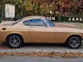 Klasyczny Volvo P1800 w kolorze złotym, zaparkowany na tle jesiennych liści i zielonego płotu z napisem "JAPAN".