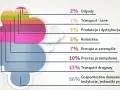 Jak walczyć ze smogiem? Skuteczne sposoby na poprawę jakości powietrza