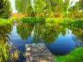 Drewniany pomost nad spokojnym stawem, otoczonym bujną zielenią i drzewami. Idealne miejsce na relaks po budowie stawu.