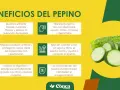 Beneficios del pepino: hidrata, regula la presión, mejora digestión y cuida la piel. ¡Un aliado natural!