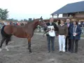 Un cheval brun primé, avec le numéro 318, est présenté par un homme tenant un trophée. Derrière eux, des spectateurs et des juges se tiennent près d'un bâtiment, formant des monceaux d'admiration.