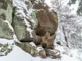 Skalna czaszka w zimowej scenerii. Śnieg pokrywa kamienne formacje i drzewa, tworząc mroźny krajobraz.
