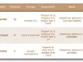 Tableau comparant des formats de châssis : Marine (M), Paysage (P), Figure (F), avec leurs principes et proportions, pour des peintures marines, paysages et portraits.