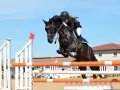 Une cavalière et son cheval noir effectuent un saut d'obstacle impressionnant.