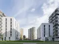 Spółdzielnia vs Wspólnota: Własność, koszty, decyzje co wybierasz?